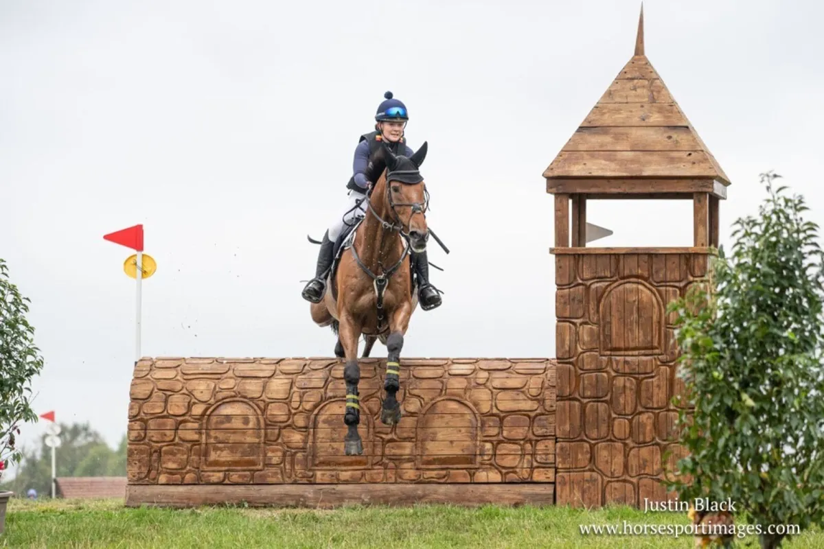 NATIONAL EI 110j CHAMPION 2024 - 2* EVENT HORSE - Image 2