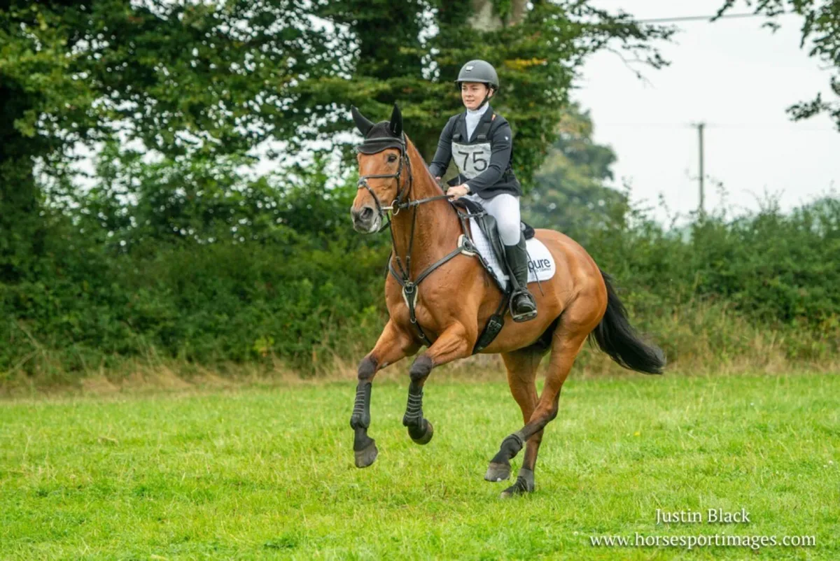 NATIONAL EI 110j CHAMPION 2024 - 2* EVENT HORSE - Image 3
