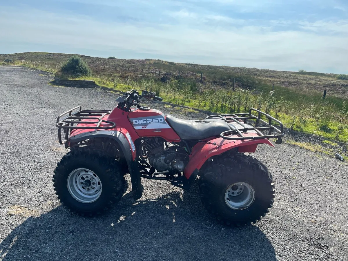Honda 300 big red - Image 3