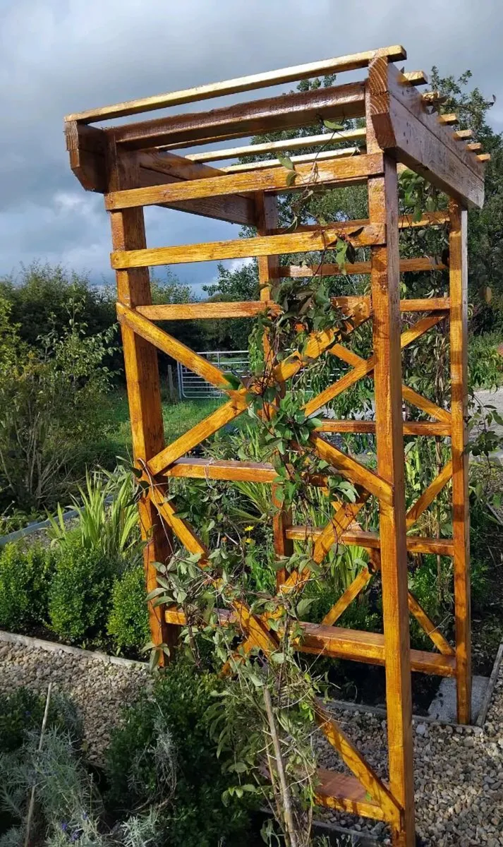 Garden arch - Image 3