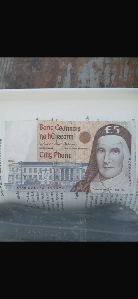 Old 5 pound note