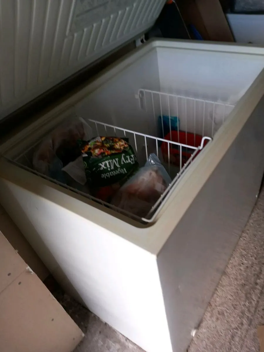 Freezer - Image 2