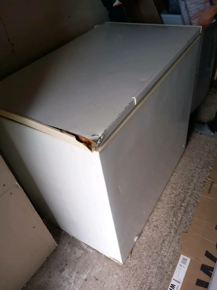 Freezer - Image 3