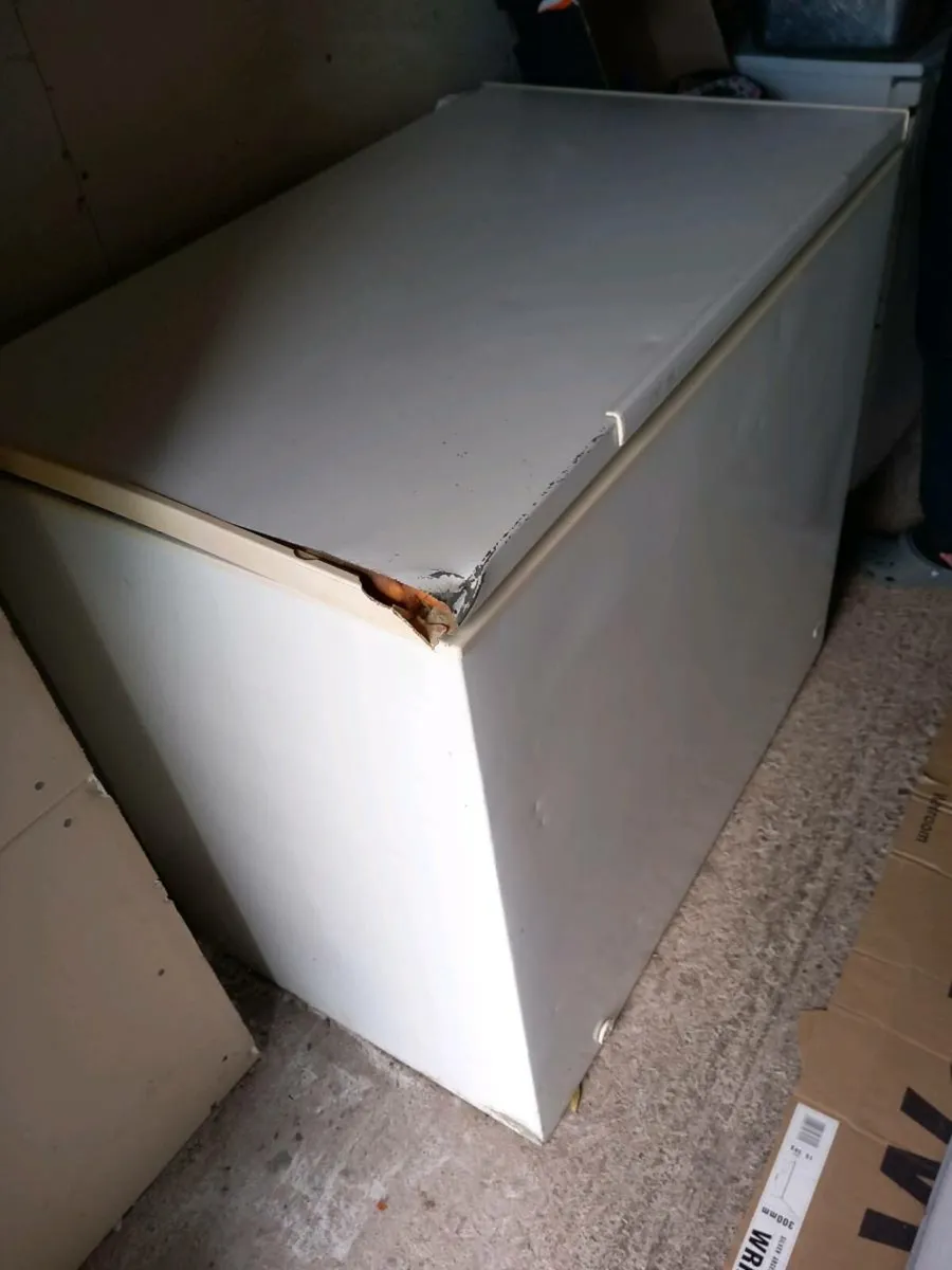 Freezer - Image 4