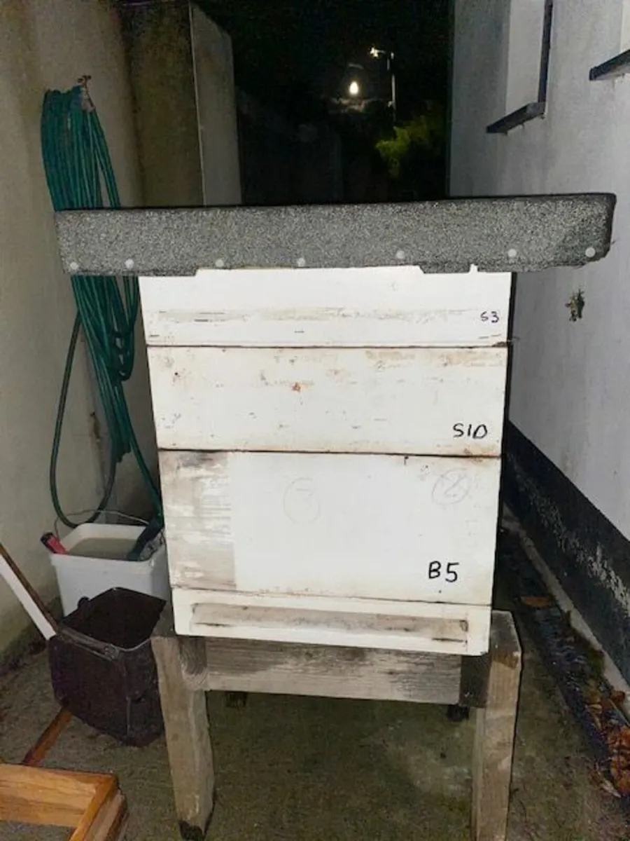 Bee equipment (used) - Image 1