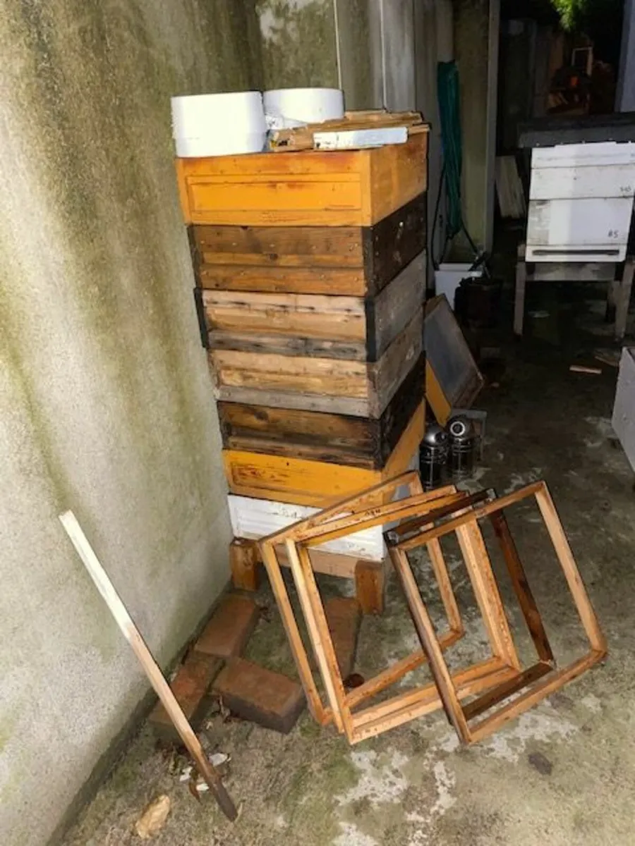 Bee equipment (used) - Image 4