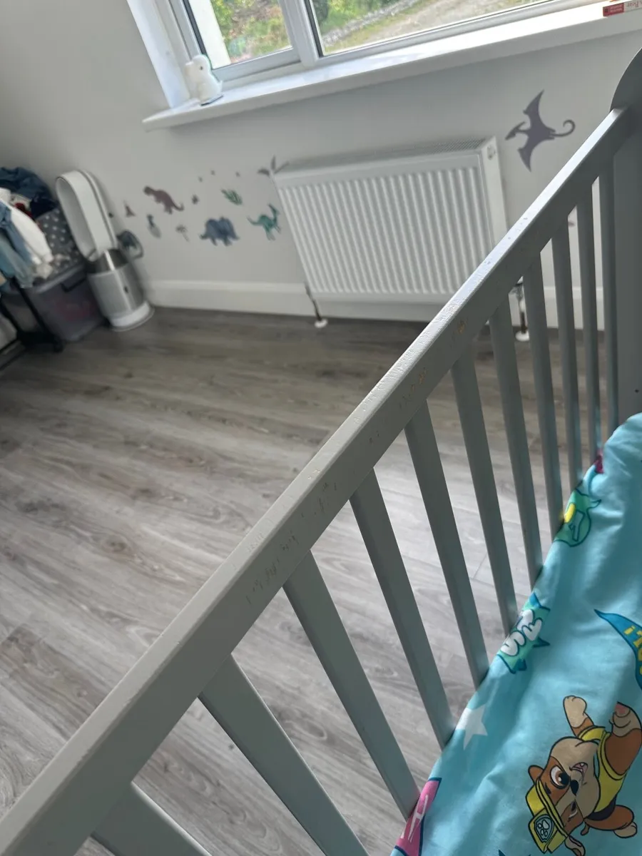 Cot/toddler bed - Image 1
