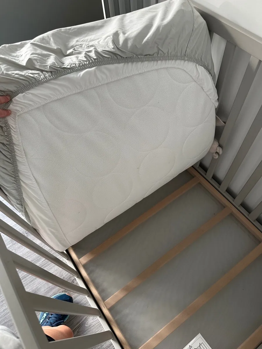 Cot/toddler bed - Image 4