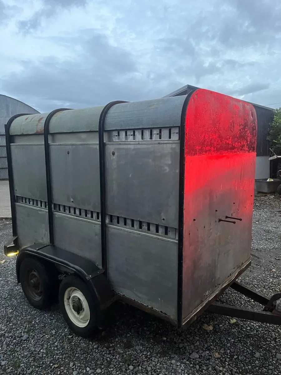 Two cow trailer - Image 1