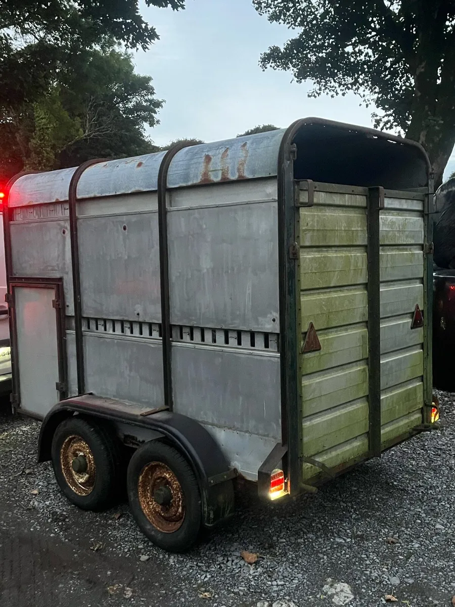 Two cow trailer - Image 2