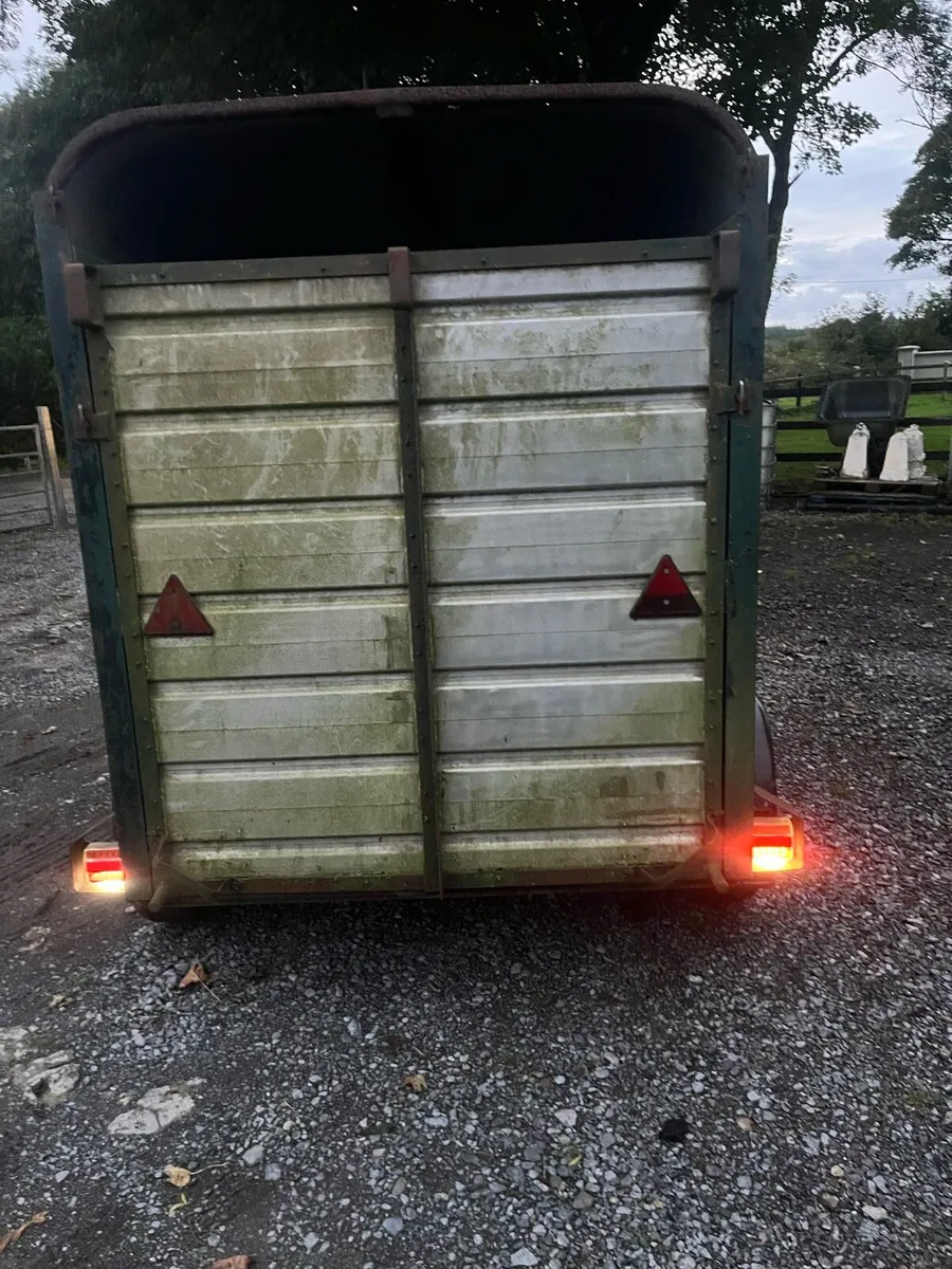 Two cow trailer - Image 3