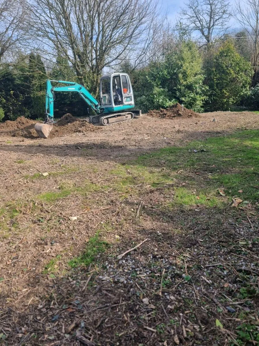 Mini digger - Image 3