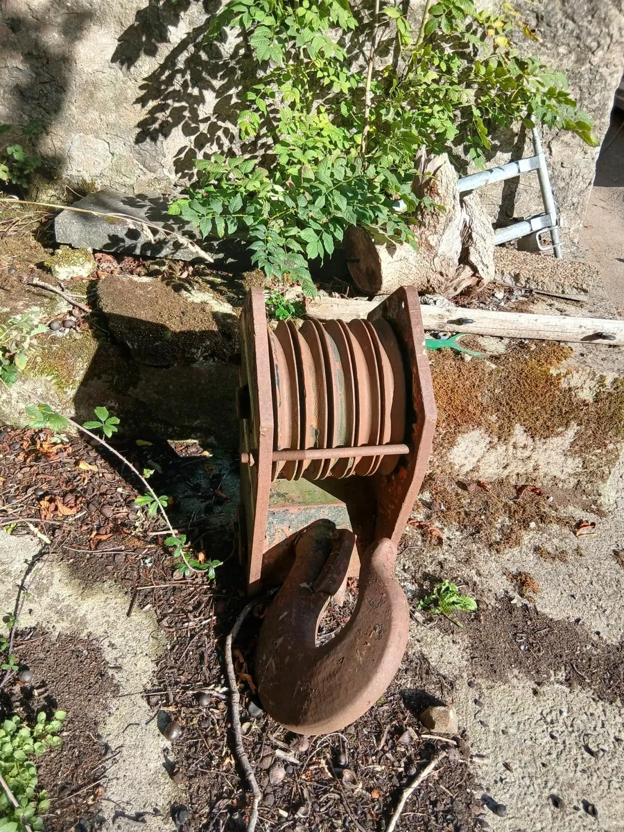 Crane - Image 3
