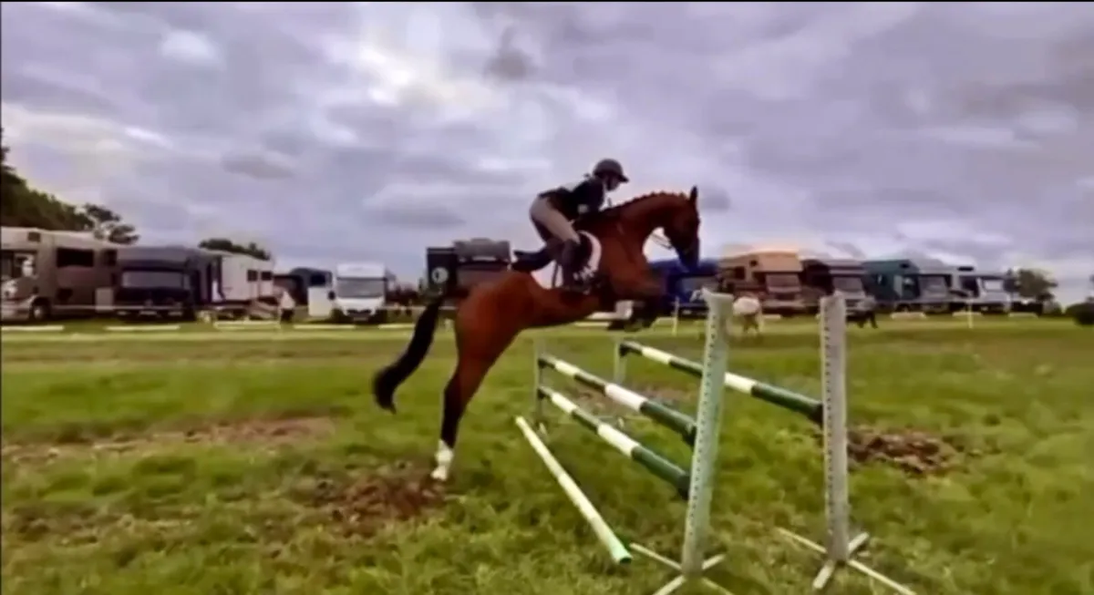 Exceptional Allrounder - Image 4