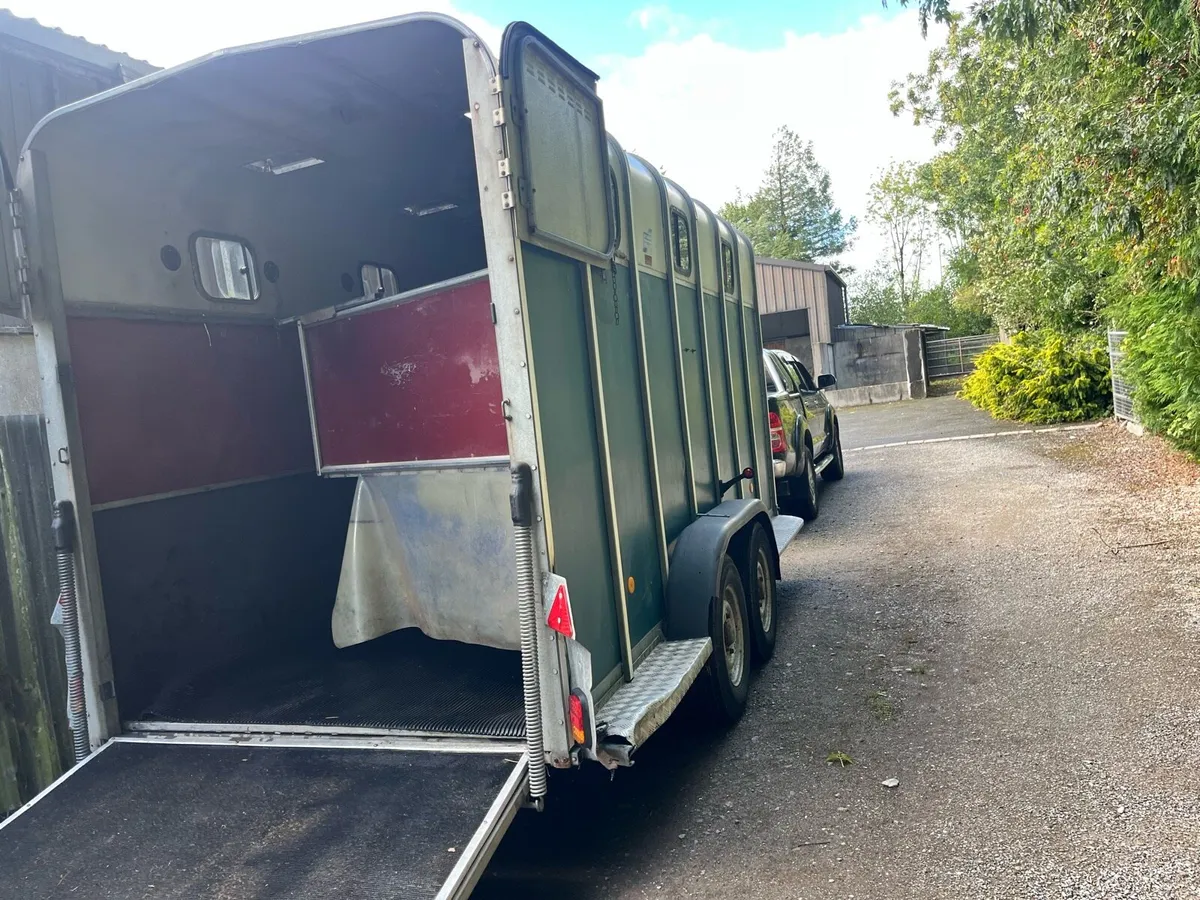 Horse box for sale - Image 4