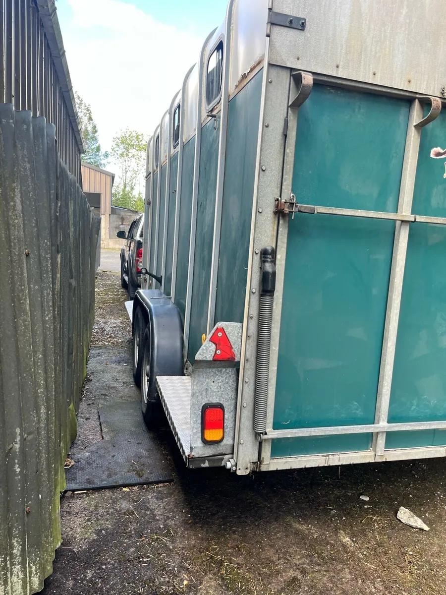 4 horse box for sale - Image 4