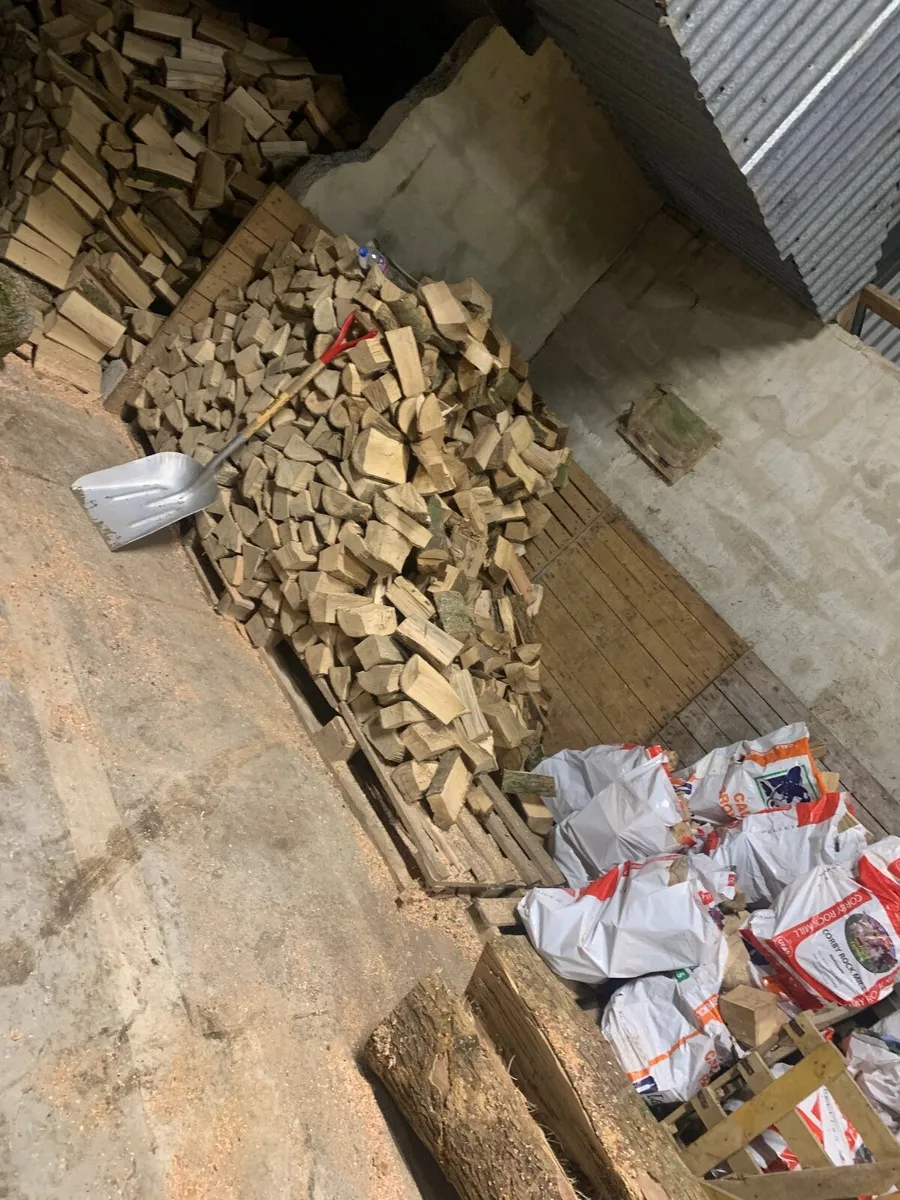Dry ash firewood - Image 3