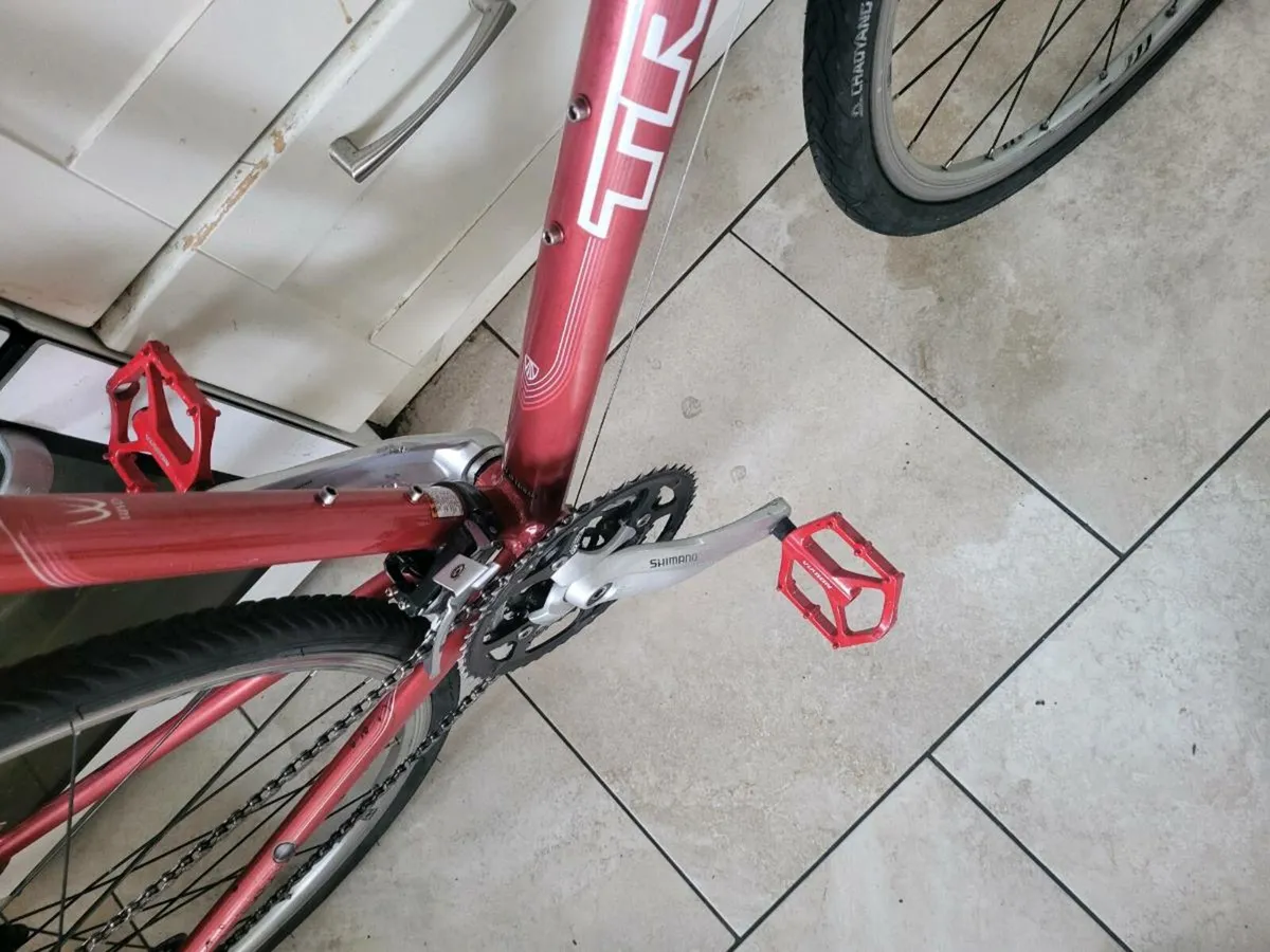 Bike - Image 4