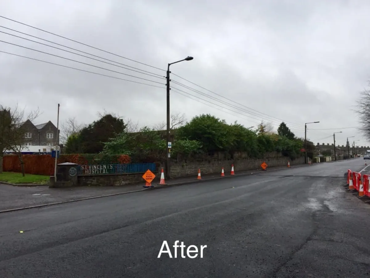 Treewise Tree Services - Image 3