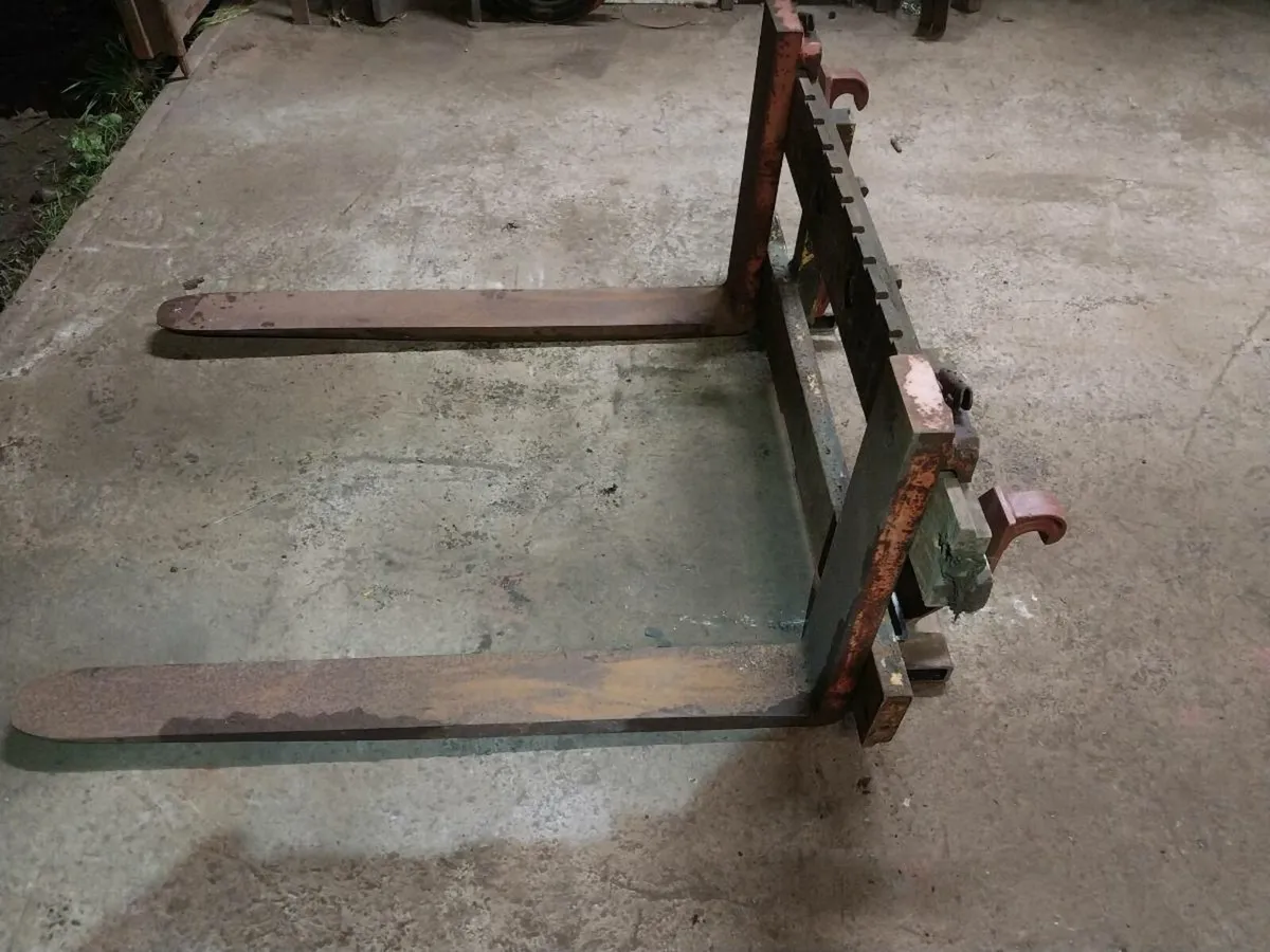 Pallet forks - Image 1