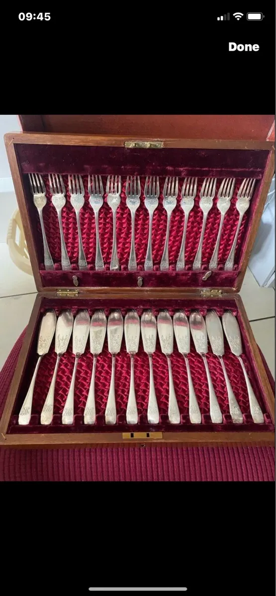 Antique Boxed 24 Piece Fish Set - Image 1