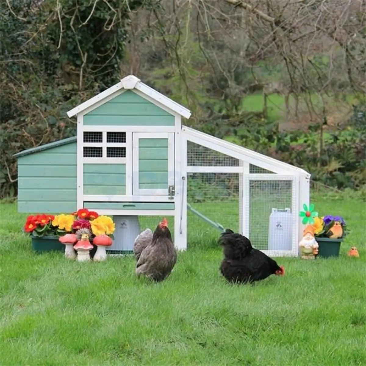 Chicken Coops - Range of Coops Available - Image 1