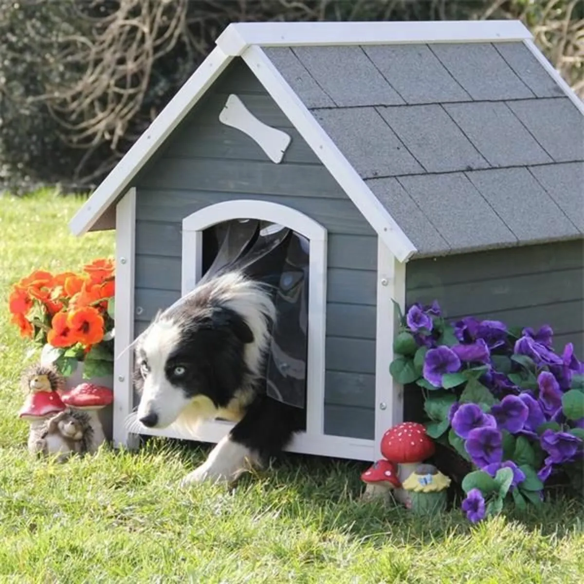 Dog Kennels - Range of Sizes Available - Image 1