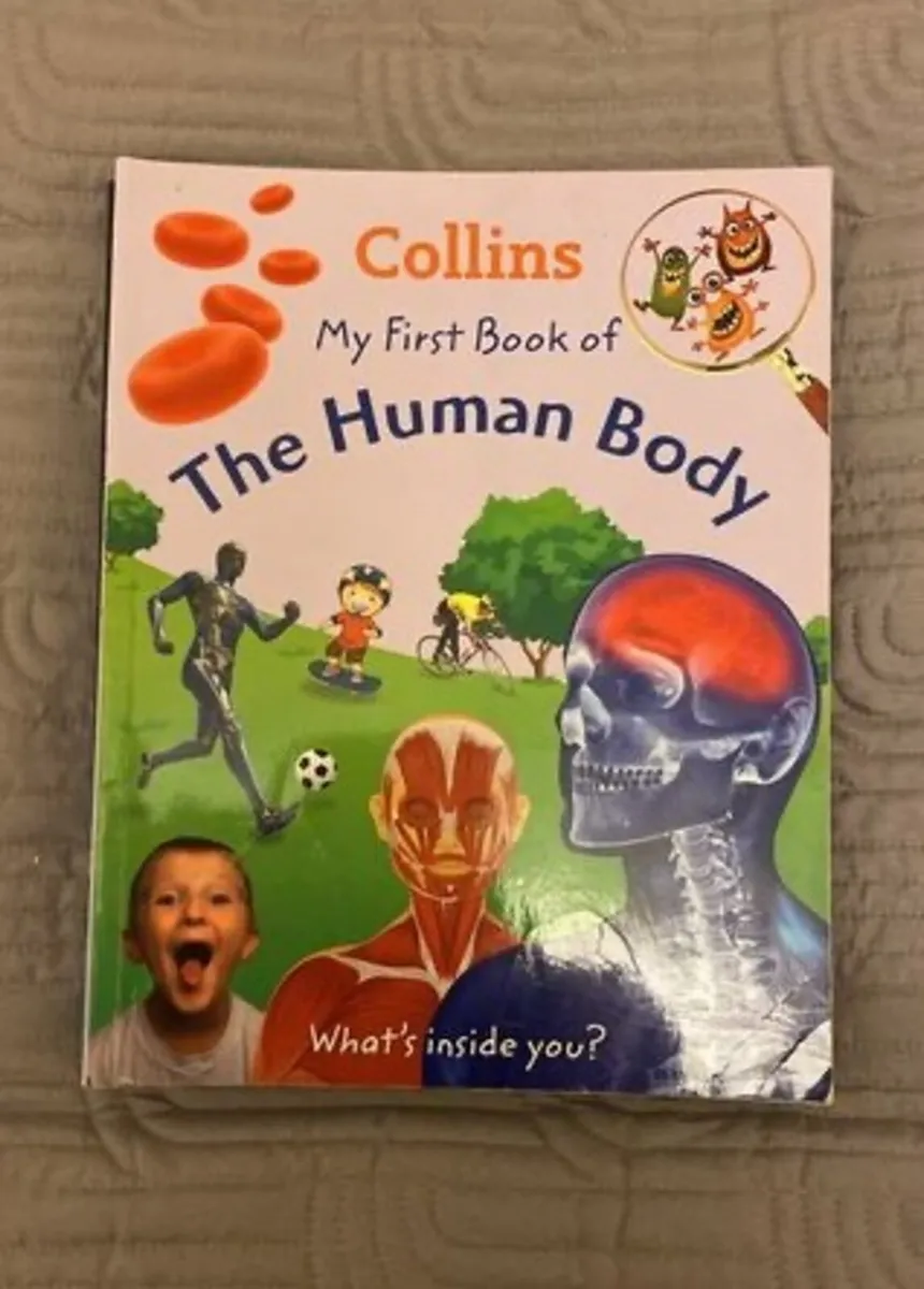 Collins My First Book of (7 books) - Image 3