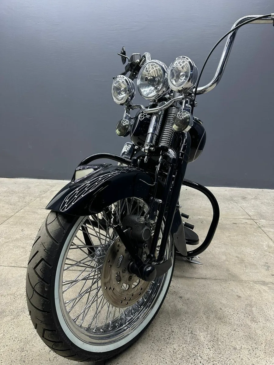 Harley Davidson  Springer 🖤 - Image 2