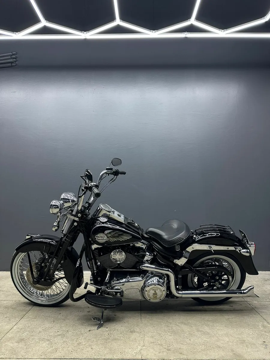 Harley Davidson  Springer 🖤 - Image 1