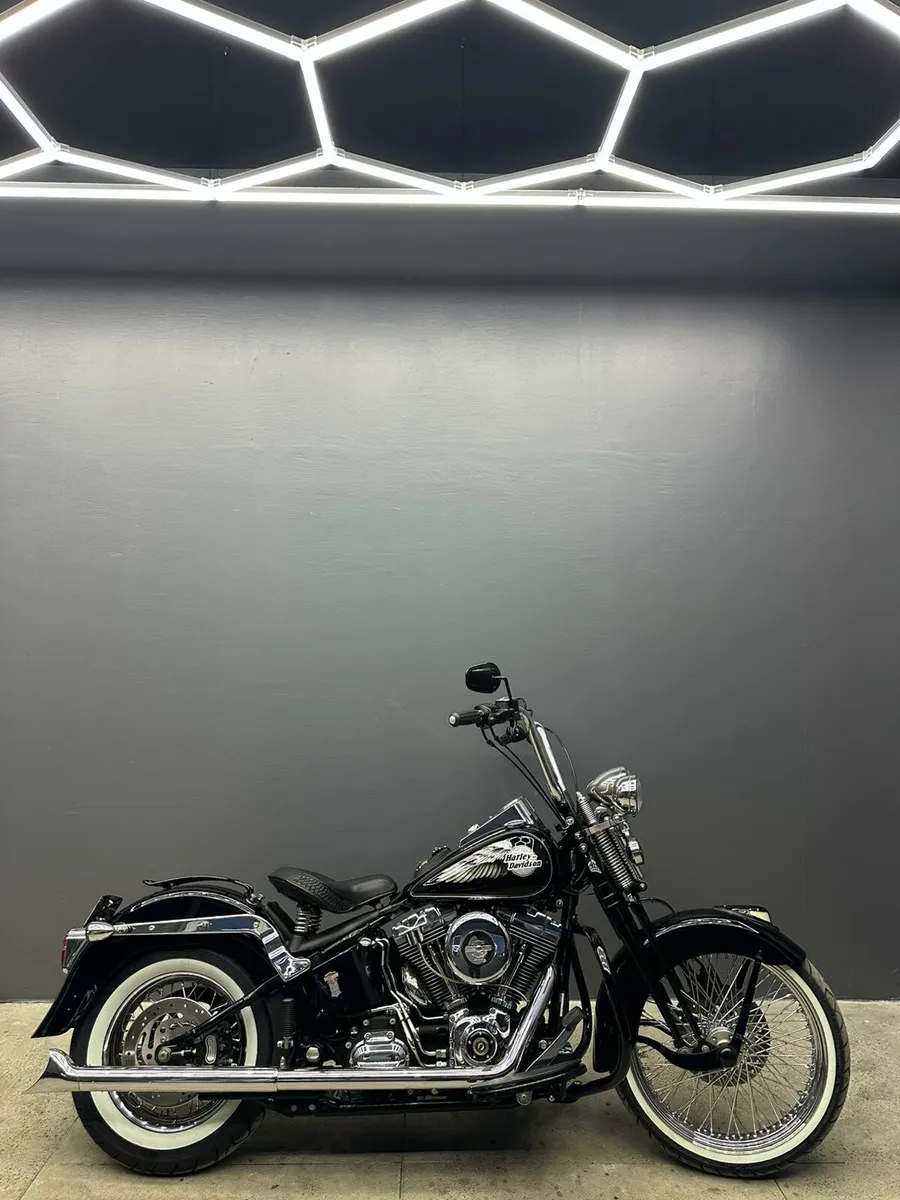 Harley Davidson  Springer 🖤 - Image 3