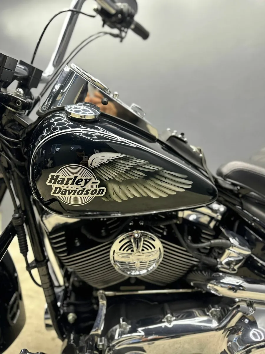 Harley Davidson  Springer 🖤 - Image 4