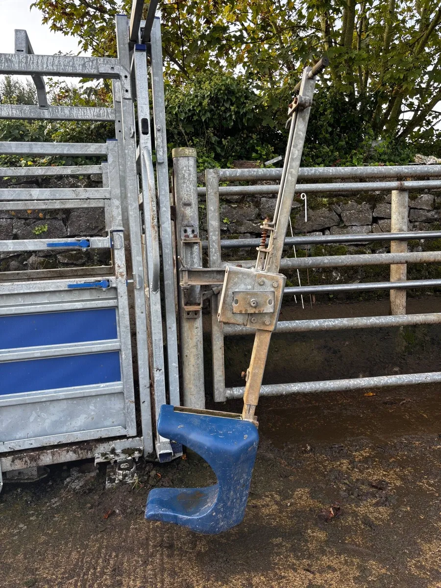 Automatic Crush Gate - Image 2