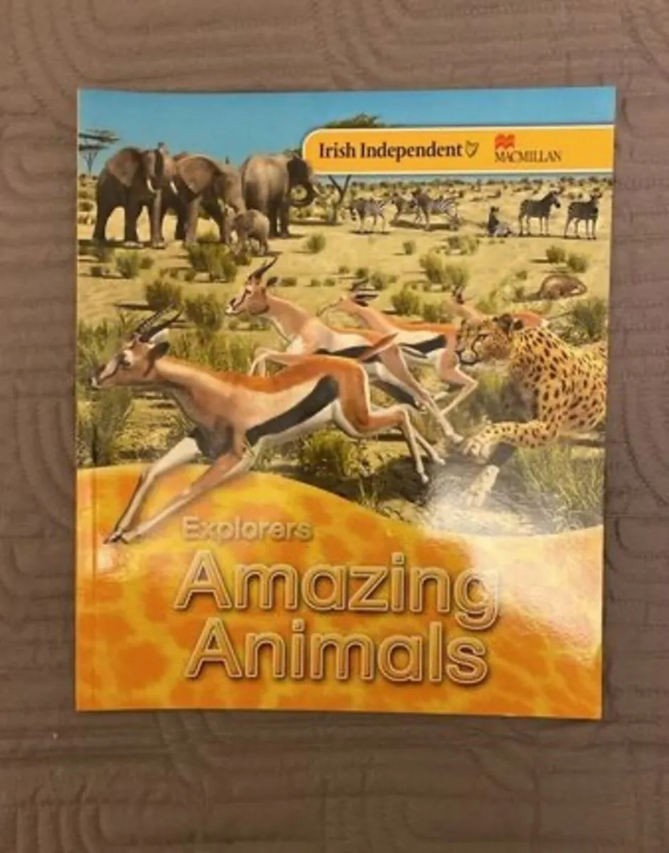 Explorers Series Books x 9 books - Image 1