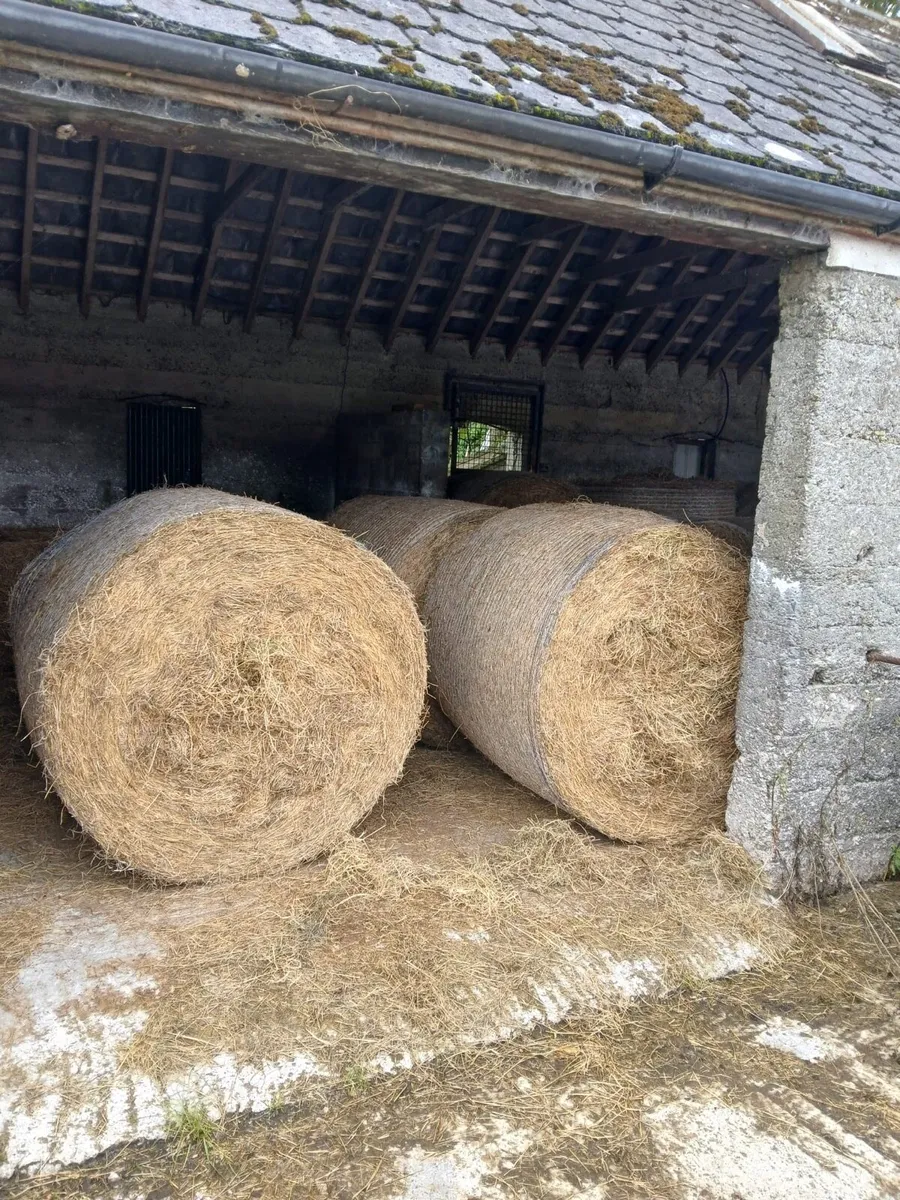 20 round hay bales