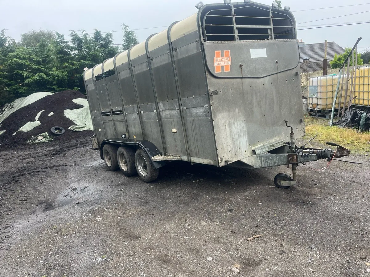 Cattle trailer for sale - Image 1