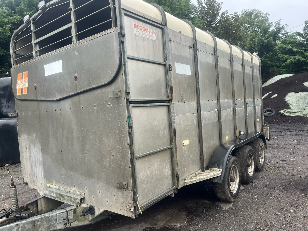Cattle trailer for sale - Image 2