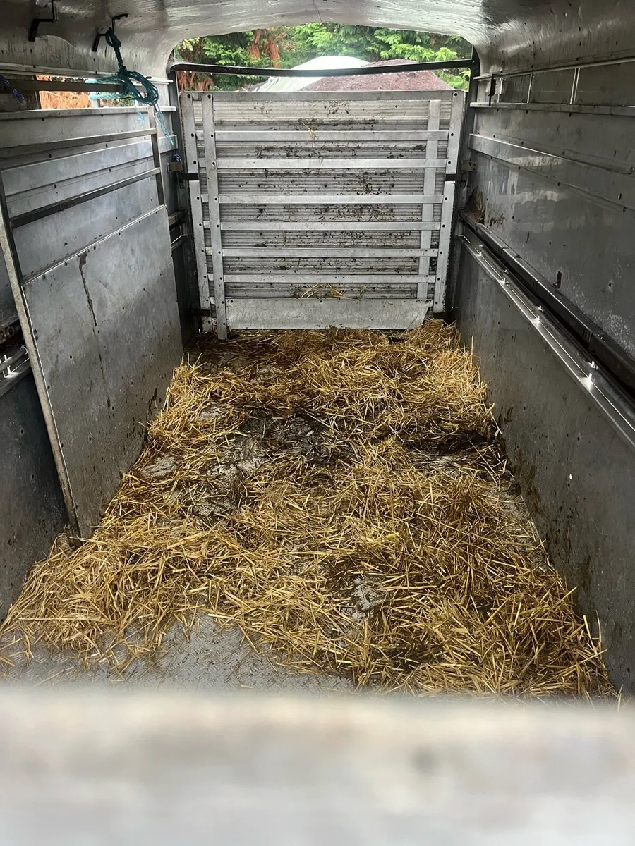 Cattle trailer for sale - Image 3