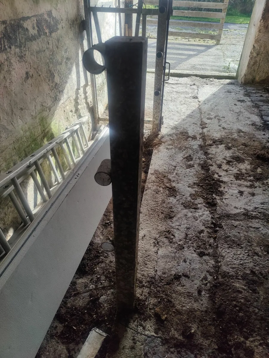 Cattle crush - Image 2