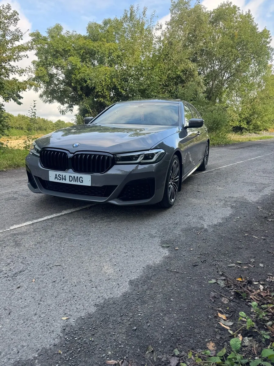 2022 BMW 530d xdrive - Image 2