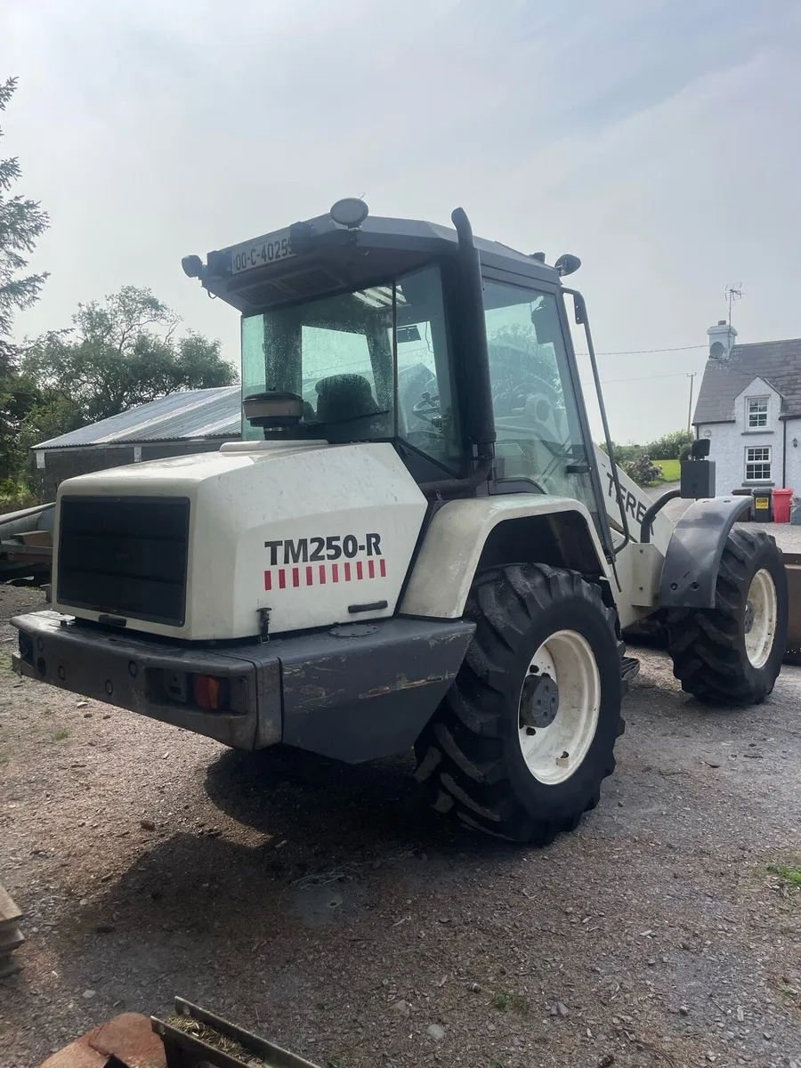 Terex TR250 - Image 2