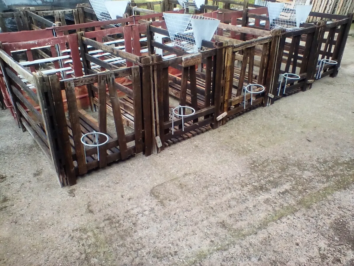 Single calf pens - Image 1