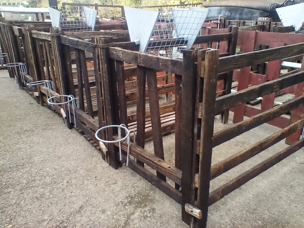 Single calf pens - Image 3