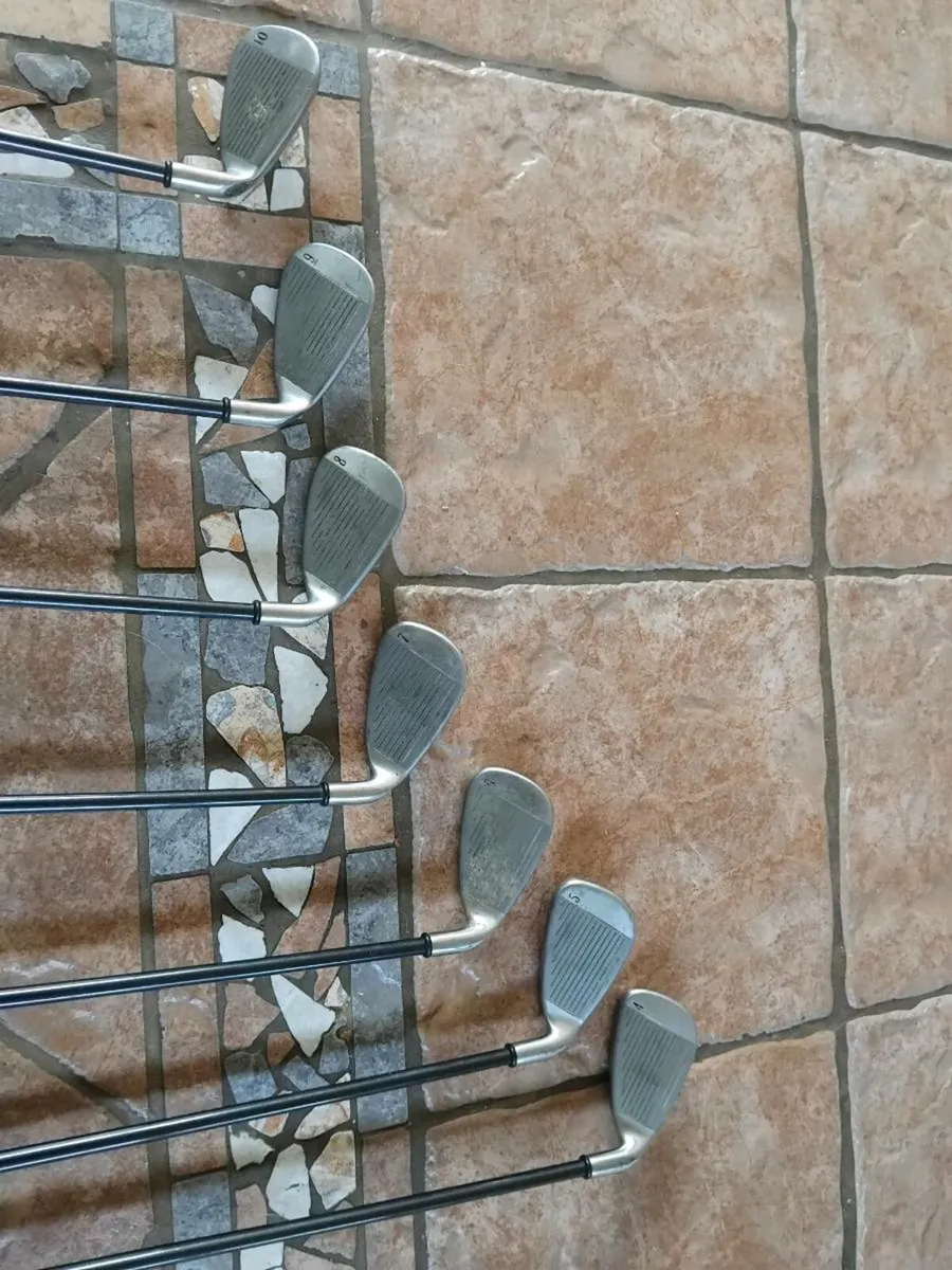 Big Bertha Irons -left - Open to offers - Image 2