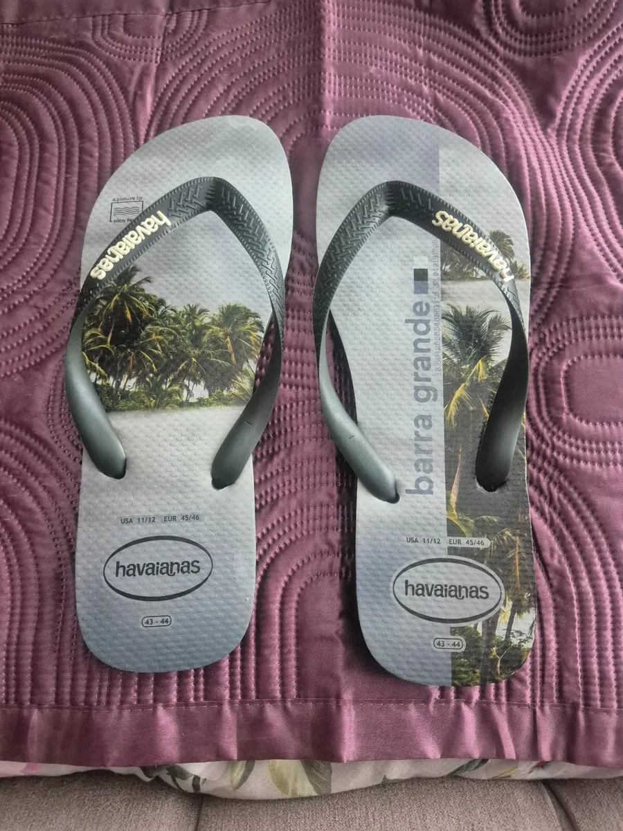 Men's Havaianas Flip-flops