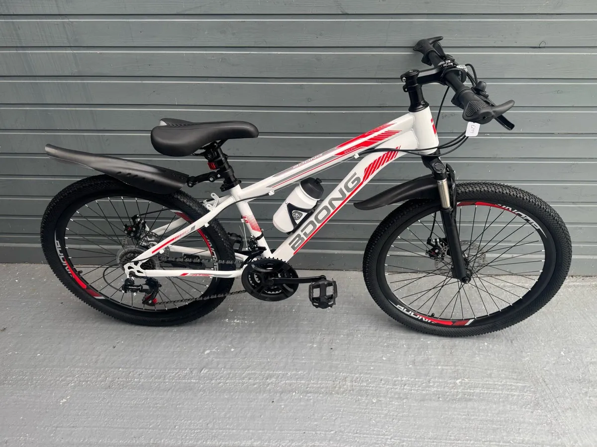 Free Delivery - 24 inch Disc Brake Mountain Bikes - Image 1