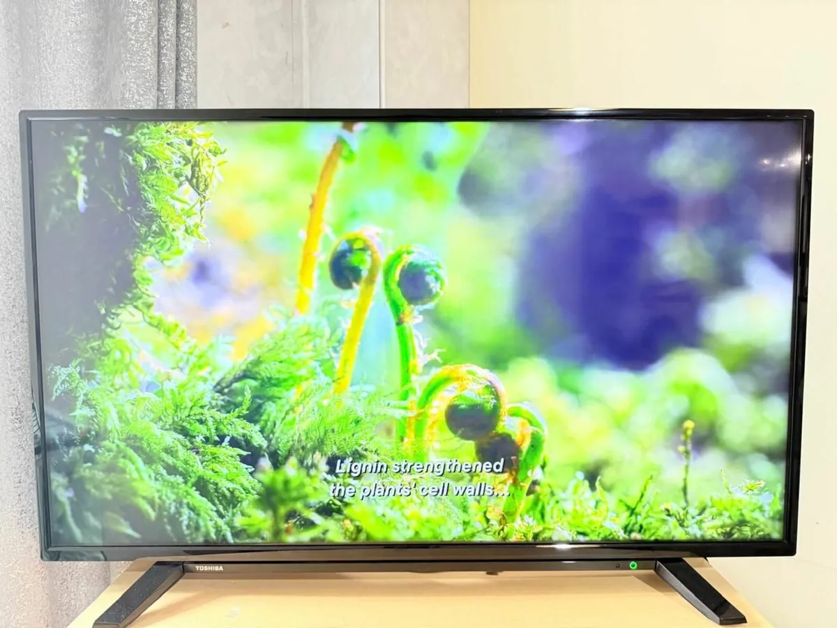 TOSHIBA  43 Inch 4K ULTRA HD Model No- 43U2963DB. - Image 1