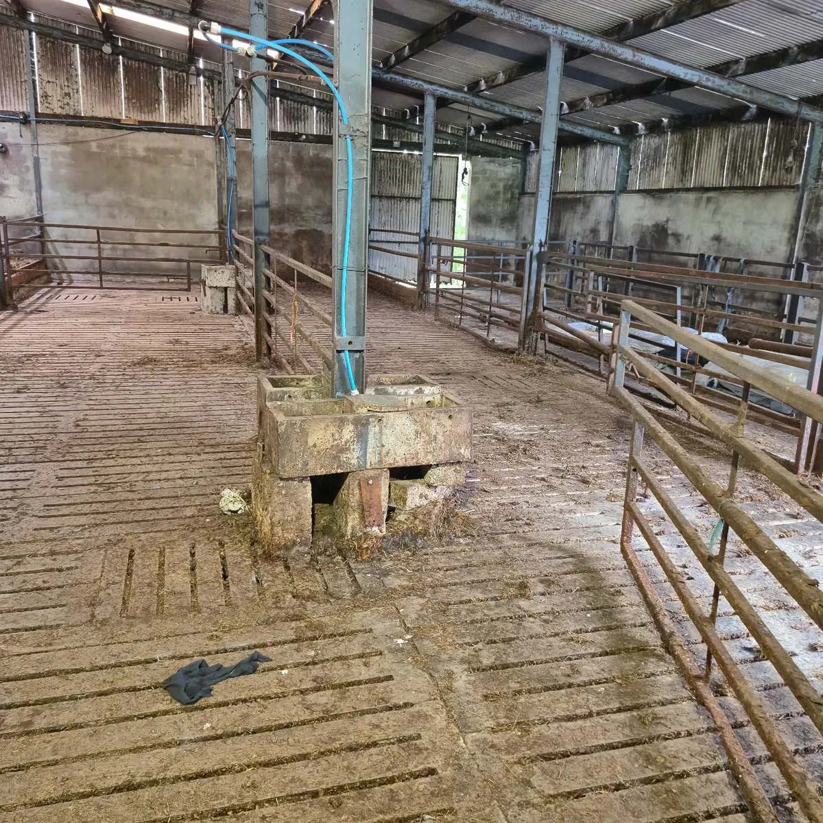 Cattle shed/winter housing for rent - Image 1