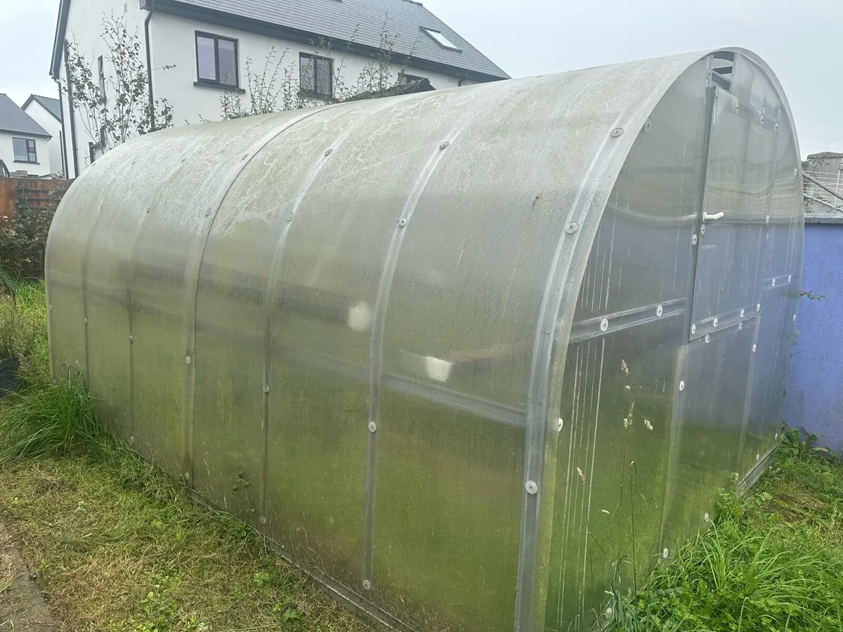 Polytunnel - Image 1