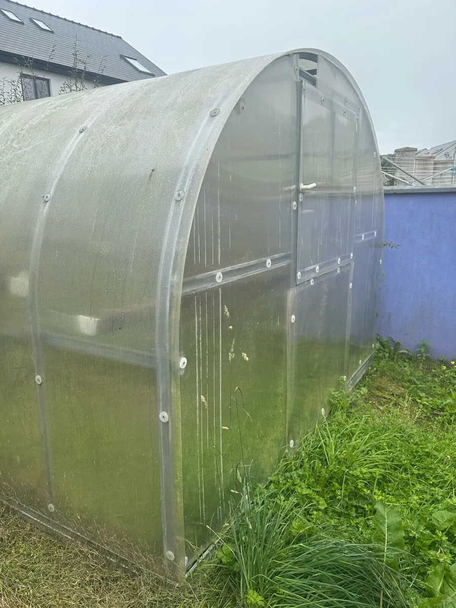 Polytunnel - Image 2